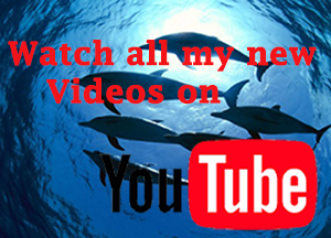 swimming videos